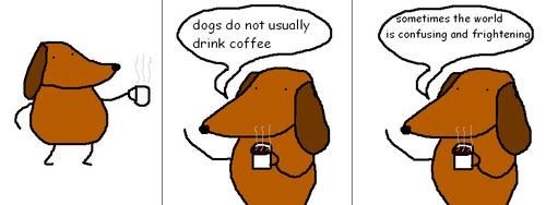It's Why We All Drink Coffee