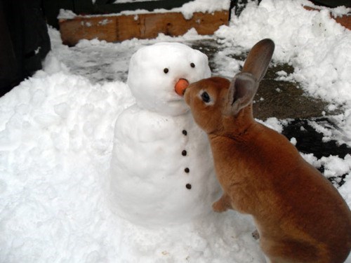 Bunday: Snowman 