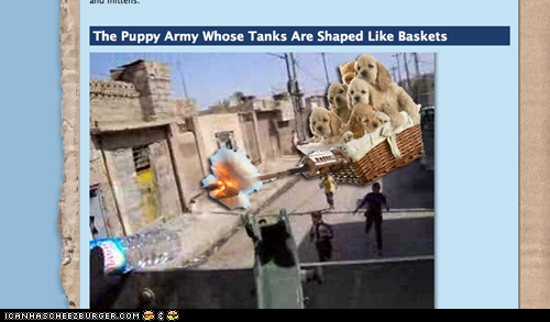 puppy tak