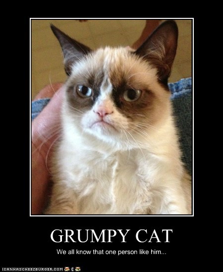 GRUMPY CAT