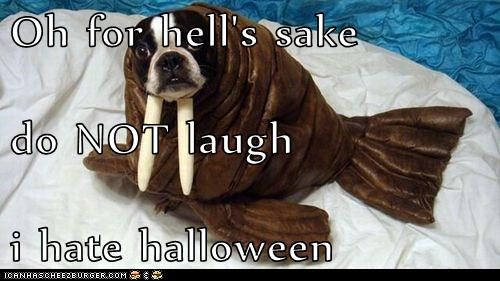 Oh for hell's sake do NOT laugh i hate halloween