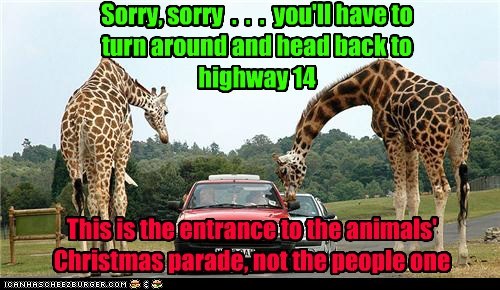 Very Strict Rules to the Parade, Apparently