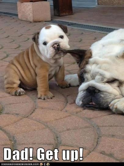 Dad! Get up!