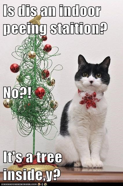 Is dis an indoor peeing staition? No?! It's a tree inside,y?