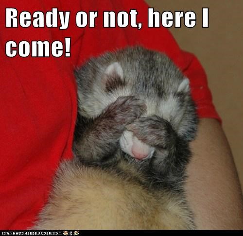 Ready or not, here I come!
