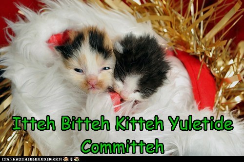 Itteh Bitteh Kitteh Yuletide Committeh