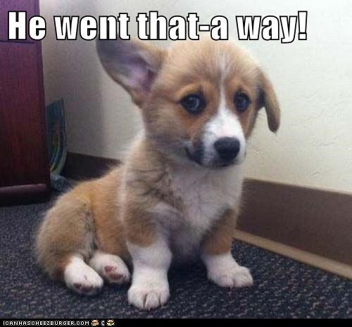 He went that-a way!