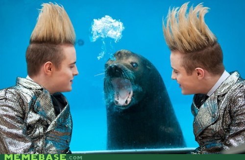Homophobic Seal IRL