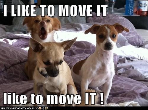 I LIKE TO MOVE IT  like to move IT !