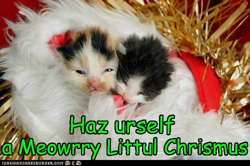 Haz urself