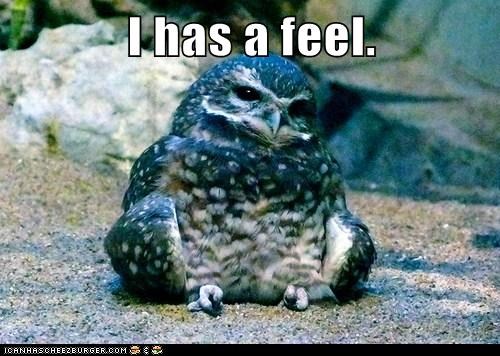 I has a feel.