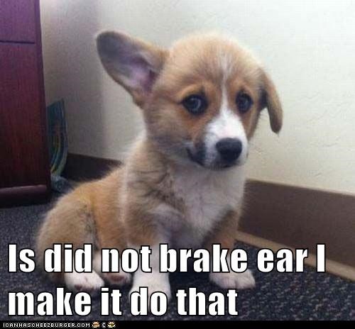 Is did not brake ear I make it do that