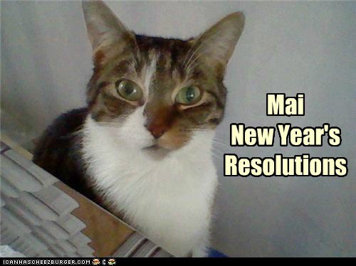 Mai 
New Year's Resolutions