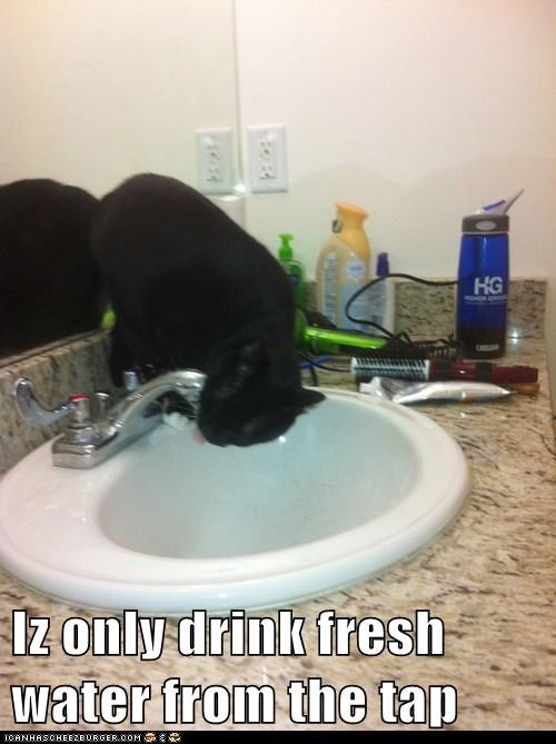Iz only drink fresh water from the tap