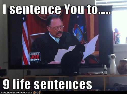 I sentence You to…..  9 life sentences