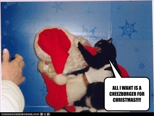 ALL I WANT IS A CHEEZBURGER FOR CHRISTMAS!!!!