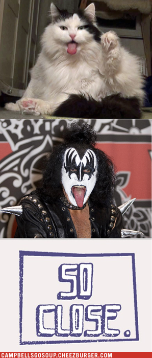 Gene Simmons