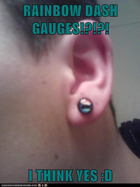 RAINBOW DASH GAUGES!?!?!  I THINK YES :D
