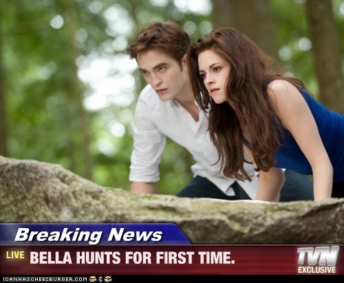 Breaking News - BELLA HUNTS FOR FIRST TIME.