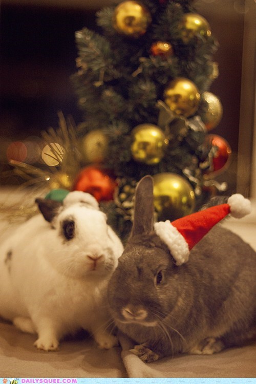 Reader Squee: Santa's Little Helpers