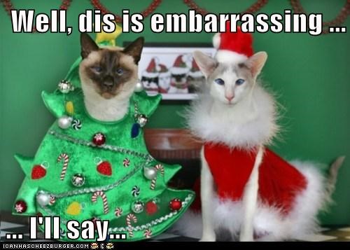 Well, dis is embarrassing ...  ... I'll say...