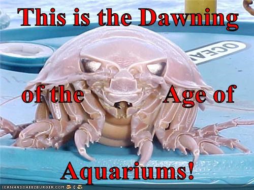 This is the Dawning of the            Age of Aquariums!