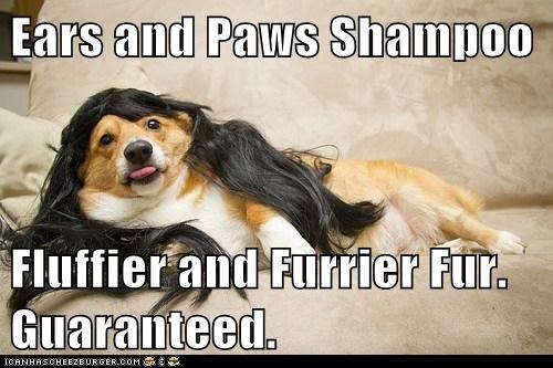 Ears and Paws Shampoo