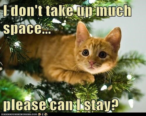 I don't take up much space...  please can I stay?