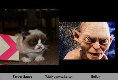 Tarder Sauce Totally Looks Like Gollum