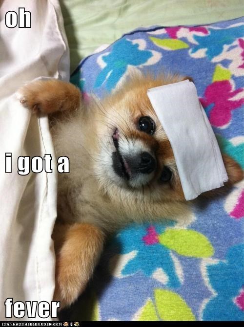 oh i got a fever