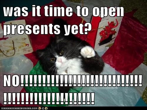 was it time to open presents yet?  NO!!!!!!!!!!!!!!!!!!!!!!!!!!!!!!!!!!!!!!!!!!!!!!!!!