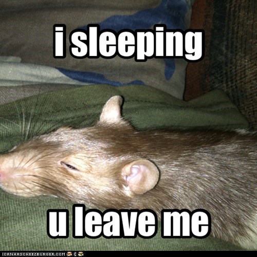i sleeping