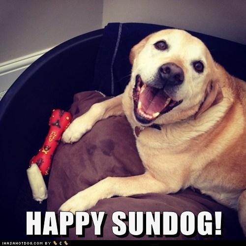 Happy Sundog! 