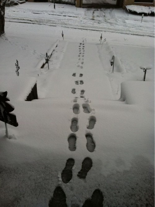 The Snow People Often Hide Their Tracks This Way...