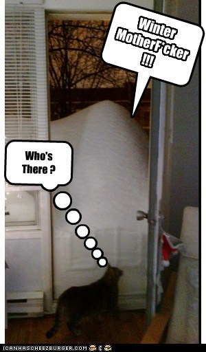 Knock Knock !
