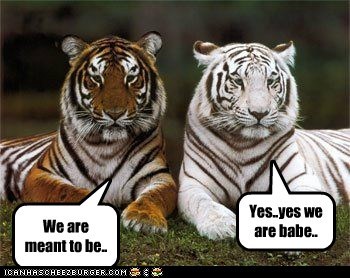 We are meant to be..