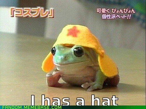 Keroro IRL