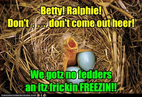 Coming Out of Your Shell is Very Hard for Some Peeps.