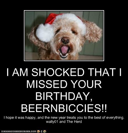 I AM SHOCKED THAT I MISSED YOUR BIRTHDAY, BEERNBICCIES!!