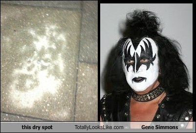 This Dry Spot Totally Looks Like Gene Simmons