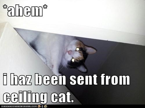 *ahem*  i haz been sent from ceiling cat.