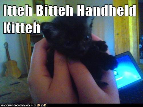 Itteh Bitteh Handheld Kitteh