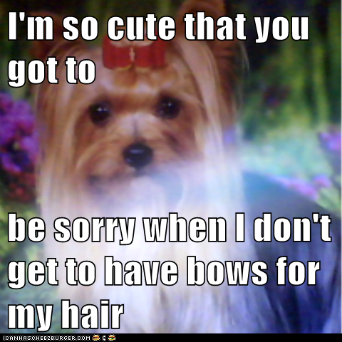 I'm so cute that you got to  be sorry when I don't get to have bows for my hair