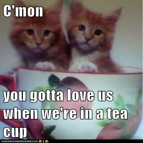 C'mon  you gotta love us when we're in a tea cup