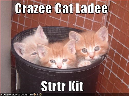 Crazee Cat Ladee  Strtr Kit