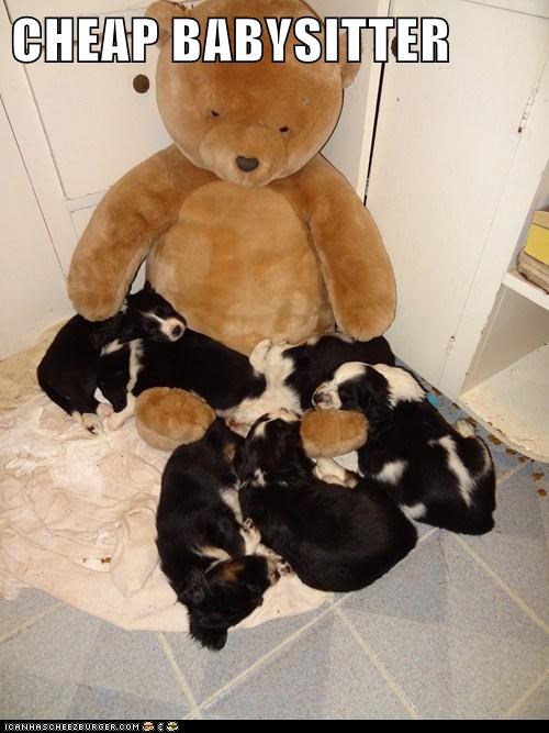 CHEAP BABYSITTER