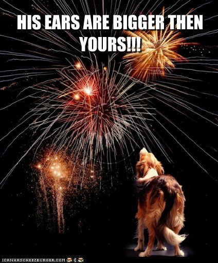 Please keep pets safe and (from) sound!!!
