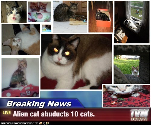Breaking News - Alien cat abuducts 10 cats.