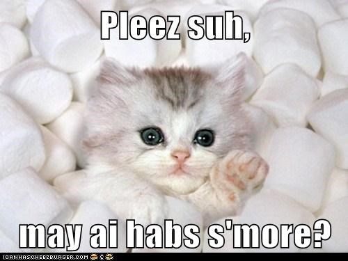 Pleez suh,   may ai habs s'more?