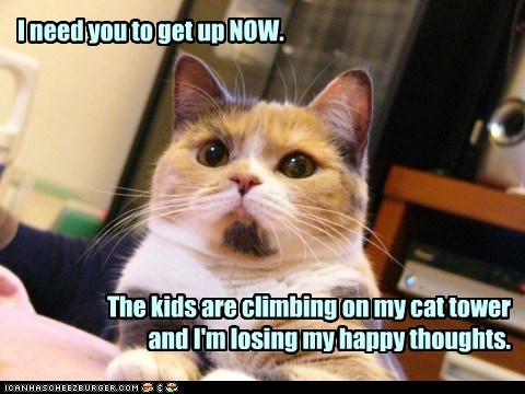 I'm only feline!